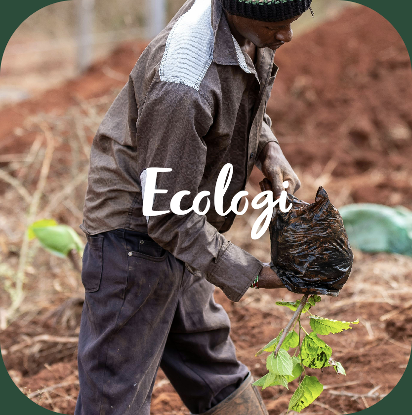 ecologi logo